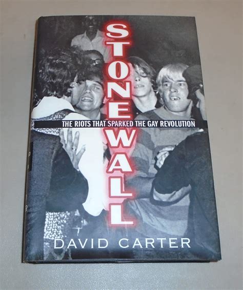 Stonewall The Riots That Sparked The Gay Revolution Carter David