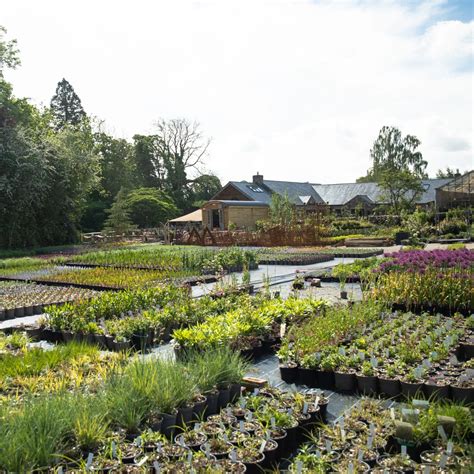 New botanical workshops at Holden Clough Nursery Bolton by Bowland 3