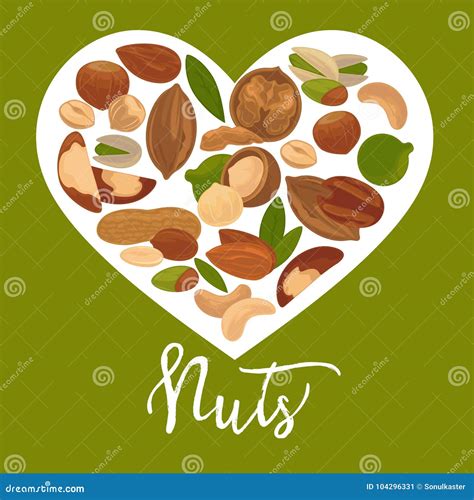 Nuts Heart Vector Poster Of Organic Raw Nut Vegetarian Healthy Food