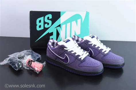 Concepts X Nike SB Dunk Low Purple Lobster BV1310 555 SoleSnk