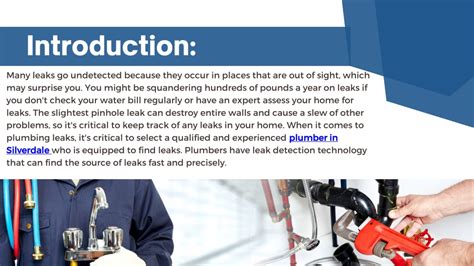 Ppt How Do The Plumbers Detect Water Leaks Tools Techniques And