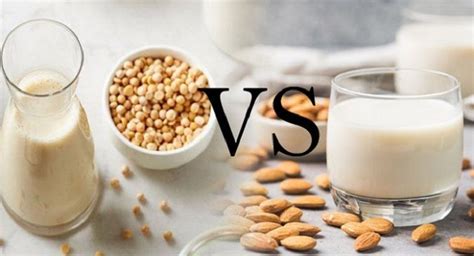 Soy Milk Vs Almond Milk Which One Is Better For Your Health