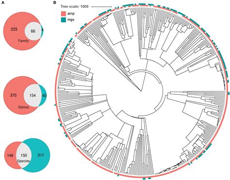 Frontiers Comparative Analysis Of 16S RRNA Gene And Metagenome