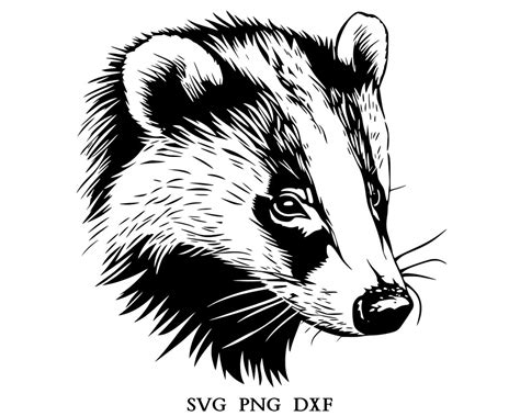 Badger Head Badger Svg Badger Clipart Badger Png Badger Head