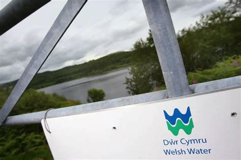 Welsh Water to plough extra millions into network improvements and help ...