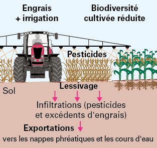 Vers Une Gestion Durable Des Agrosyst Mes Digischool