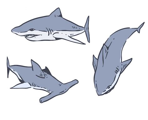 Premium Vector Hand Drawn Shark Doodle