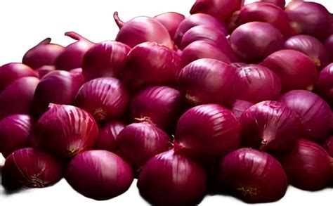 Maharashtra Onion A Grade Onion Size Mm At Rs Kg In Pune Id