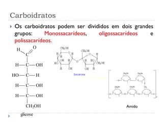 Carboidratos PPT