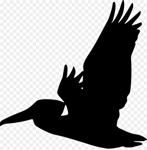 Brown Pelican Bird Drawing Clip Art Bird Png Download 579800