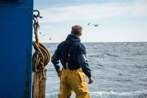 La Pesca Eccessiva Minaccia Lintera Fauna Ittica