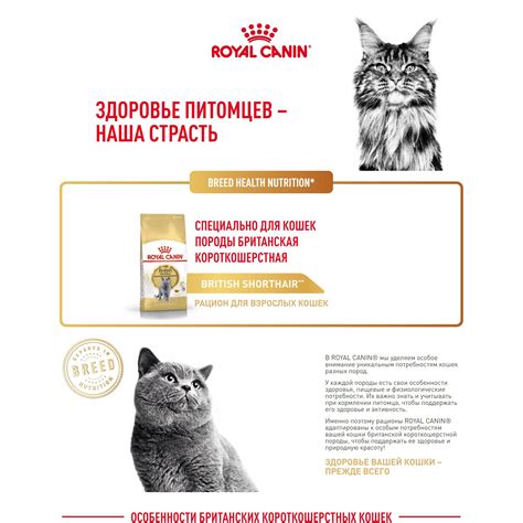 Royal Canin British Shorthair Adult (Роял Канин Эдалт со вкусом птицы ...