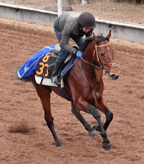 【pog】良血馬ディオスバリエンテが好気配 堀師は手応え「前向きに走れていた」競馬・レースデイリースポーツ Online