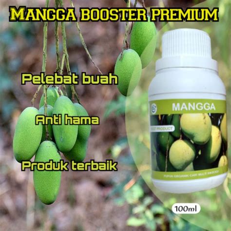 Jual Pupuk Organik Cair Mangga Agar Cepat Berbuah Lebat Ampuh Pupuk