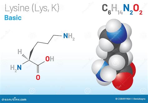 Lysine Lys K Amino Acid Molecule Chemical Formula C6h14n2o2 Stock Vector Illustration Of