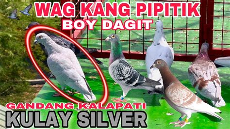 EP296 SWERTE NI BOY DAGIT DITO SA KALAPATING KULAY SILVER YouTube