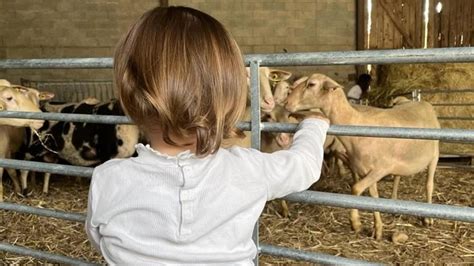 Notre top des visites à la ferme Site Officiel de la Chartreuse en