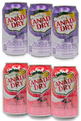 I Tested Canada Dry Ginger Ale Expiration Date Here S What You Need To