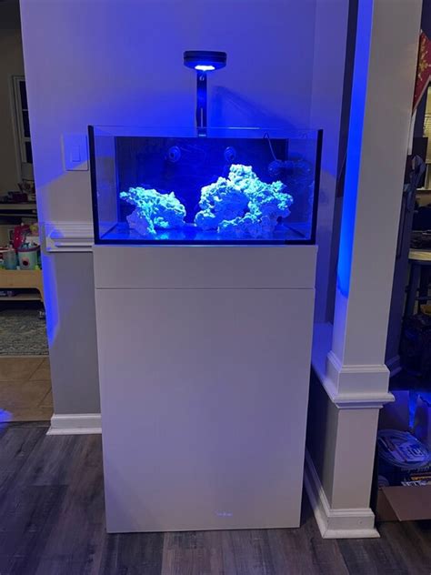 Build Thread - Fishy's first reef tank - IM 25 Lagoon | Reef2Reef