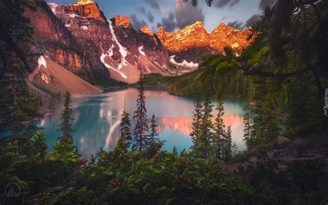 Park Narodowy Banff i las dookoła jeziora Moraine