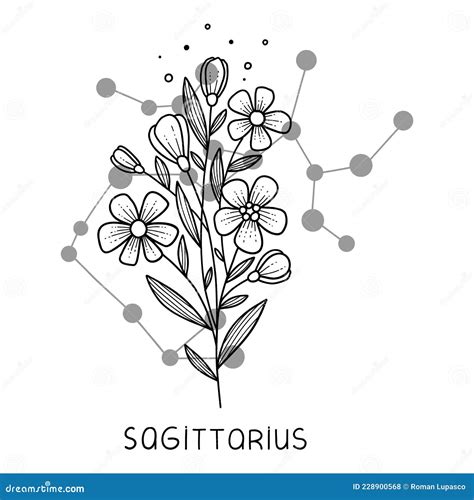 Sagittarius Horoscope Flower Icon Outline Vector Zodiac Sign Astrology