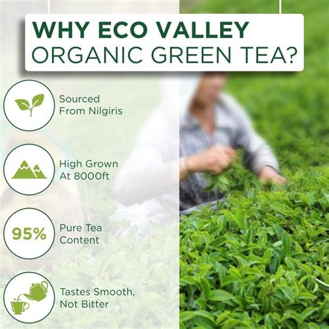 Eco Valley Organic Green Tea Pure Green Ayurvedmart