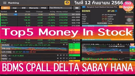 Top5 Money in Stock BDMS CPALL DELTA SABAY HANA วนน 12 กนยายน 2566