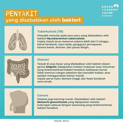 Perbedaan Virus Dan Bakteri Serta Cara Mengobatinya