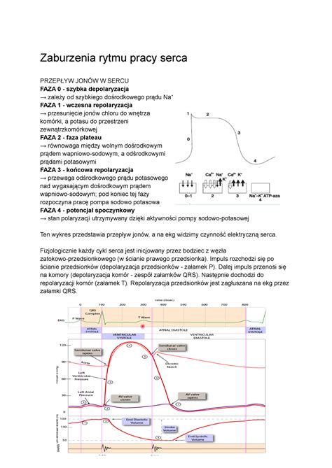 Zaburzenia Rytmu Serca Zaburzenia Rytmu Pracy Serca Przep Yw Jon W W