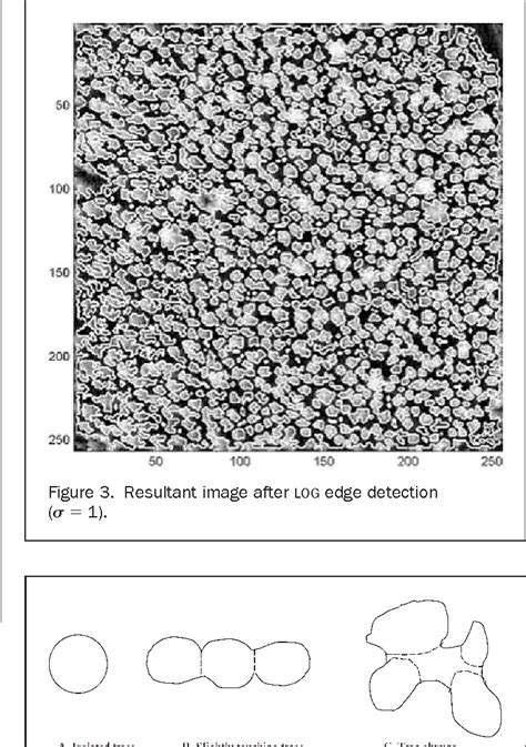 Pdf Individual Tree Crown Delineation And Treetop Detection In High