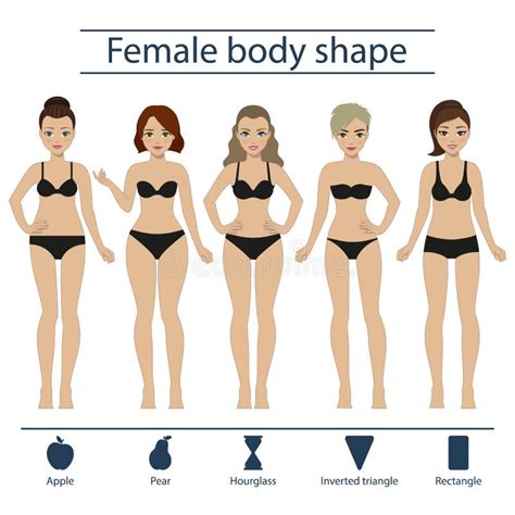 Set Of Female Body Shape Types Five Types Stock Vector Illustration Of Pose Cartoon 102739292