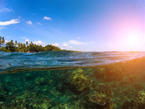 Paisaje Partido Con El Mar Y El Cielo Foto Doble Con La Isla Tropical Y