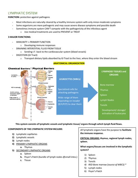 Lymphatic System Study Guide LYMPHATIC SYSTEM FUNCTION Protection