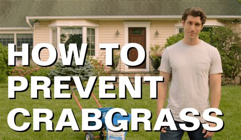 How To Prevent And Control Crabgrass With Veri Green From Jonathan Green