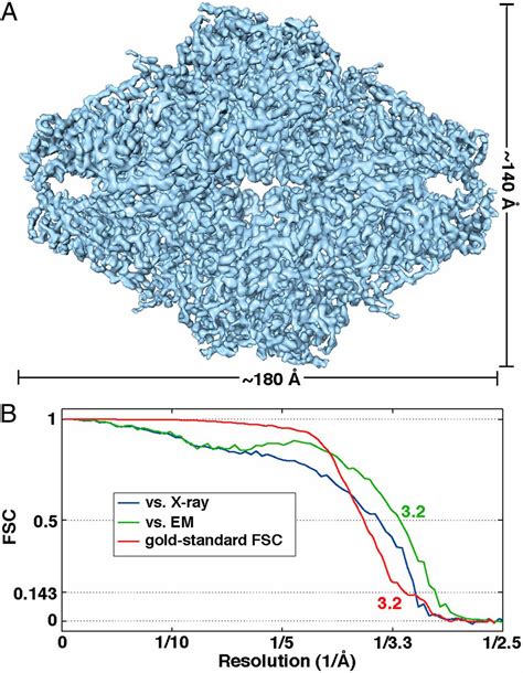 Structure Of β Galactosidase At 32 Å Resolution Obtained By Cryo Electron Microscopy Pnas