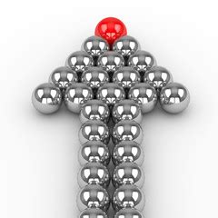 enabling  organization  lead