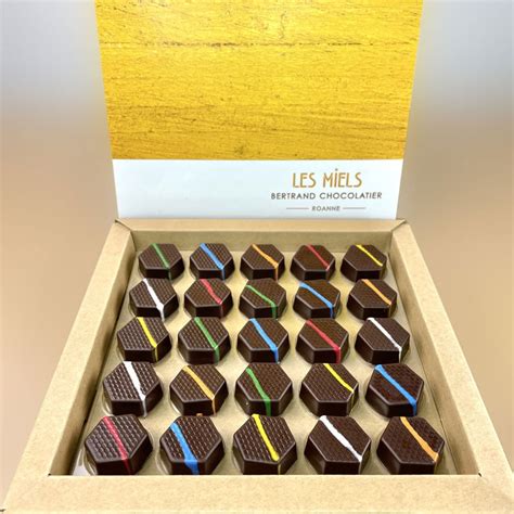 Bertrand Chocolatier Assortiment Ganache Chocolat Noir Miel 225g