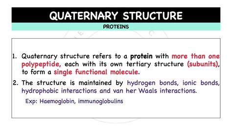 10.-levels-of-protein-structure-protein.006-1 – The Theoretical Doctor