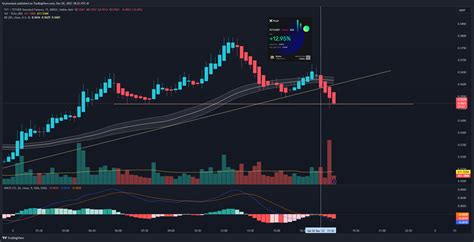 BINGX FETUSDT PS Chart Image By Brymaniaul TradingView