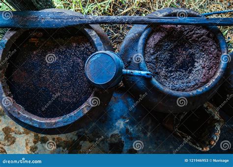 Process of Making Indigo Dye, Indigo Plant Fermentation in Clay Stock ...