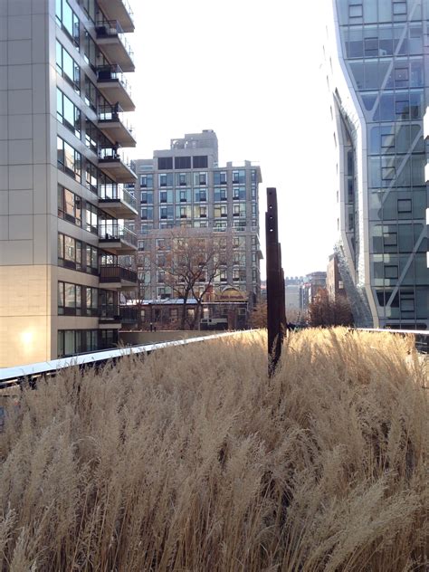Tourists are reacting to the New York City High Line crowds 3