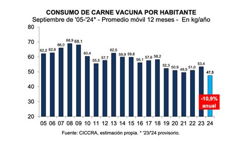 Chau asado el consumo de carne cayó 11 3 interanual y se desploma a