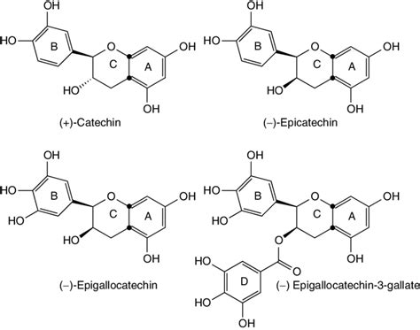 1 Chemical Structure Of Catechins Download Scientific Diagram