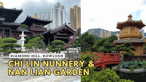 Chi Lin Nunnery And Nan Lian Garden Laid Back Experience Vlog