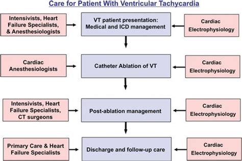 Integrated Care For Management Of Ventricular Arrhythmias Circulation