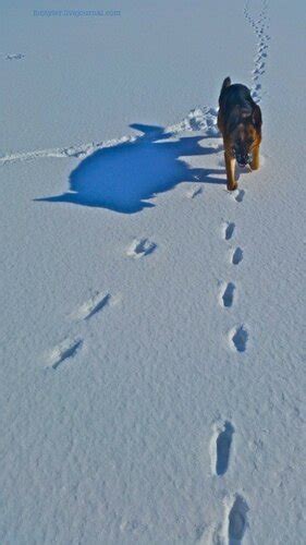 ТАМ НА НЕВЕДОМЫХ ДОРОЖКАХ СЛЕДЫ … | fontyler_LJ