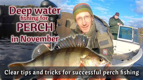 Deepwater Perch Fishing In November Best Perch Fishing Rig For Now