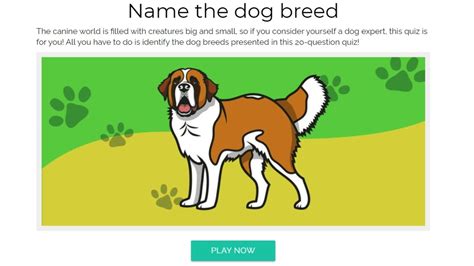 Name The Dog Breed Quiz Answers Guarantee 100 Score Video Facts