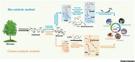 Cellulosic Ethanol Production With Bio And Chemo Catalytic Methods