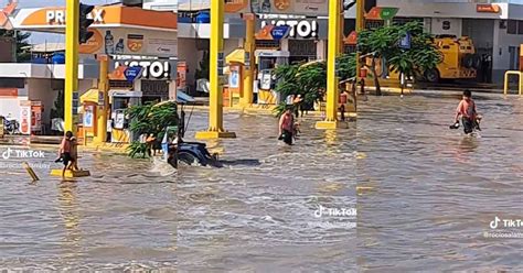 Video El Mejor Amigo Del Hombre Ni O Carga A Perrito En Medio De